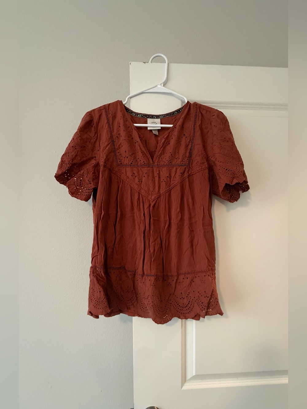 Knox Rose Rust Eyelet V-Neck Blouse